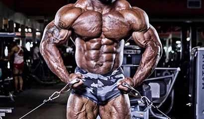 Here Is A Quick Cure For letrozolo bodybuilding